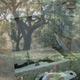 Image for article titled Shooting Challenge: Double Exposure, Gallery 2